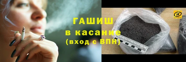 PSILOCYBIN Бородино