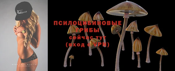 PSILOCYBIN Бородино