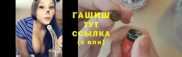 ешки Снежинск