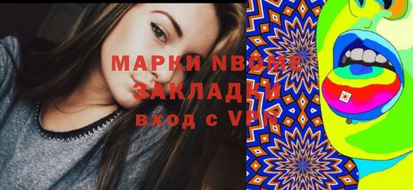 прущие грибы Каменск-Шахтинский