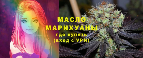 индика Слюдянка