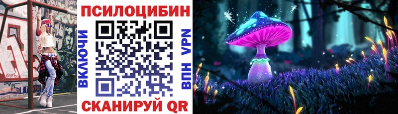 Псилоцибиновые грибы Cubensis  Стрежевой 